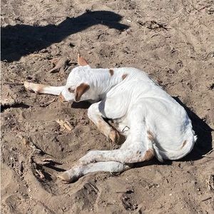 Meet your Posher, Claire